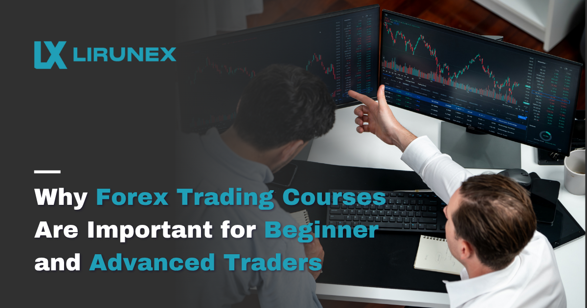 Why Forex Trading Courses Are Important for Beginner and Advanced Traders