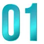Step 01