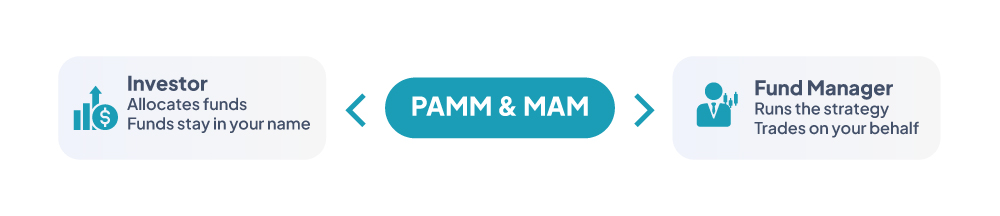 PAMM and MAM accounts overview: investor allocates funds that stay in their name, fund manager runs the strategy